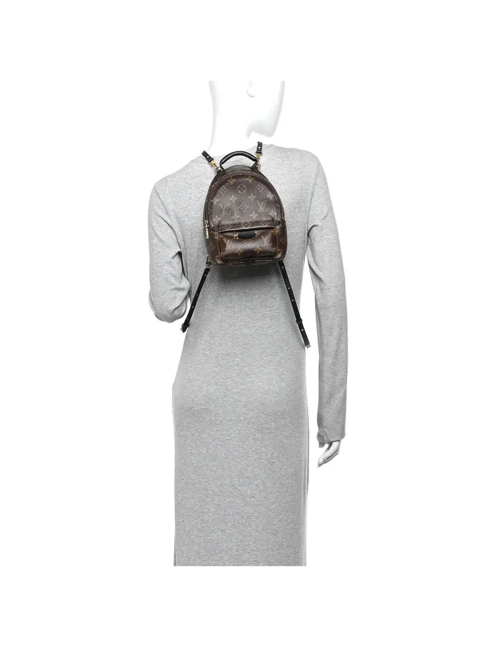 Louis Vuitton Palm Springs Backpack #339356L15B
